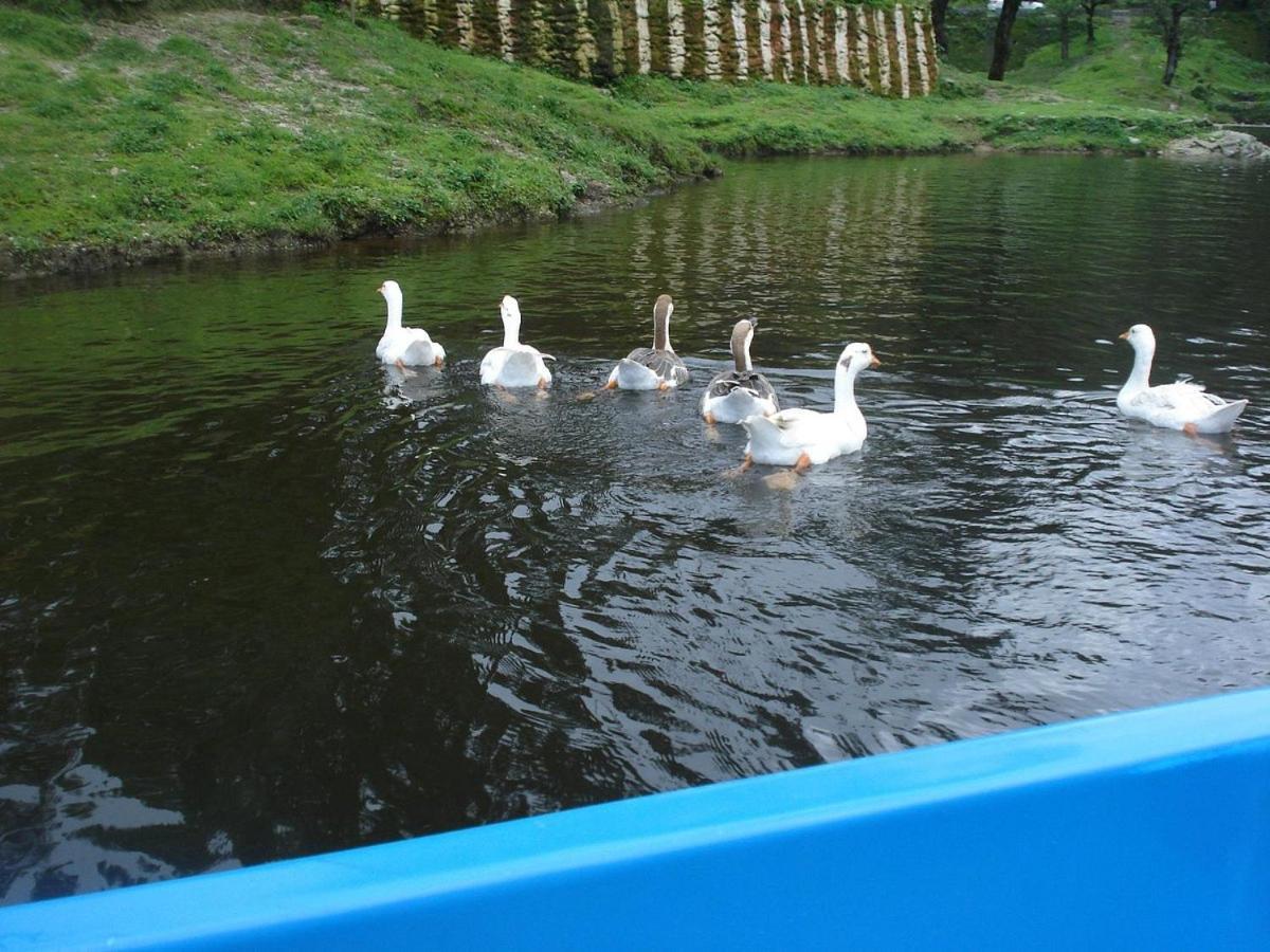 Riverside Resort Lansdowne Eksteriør billede